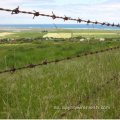 12 X12 Calibre Hot Dip Galvanized Barbed Wire